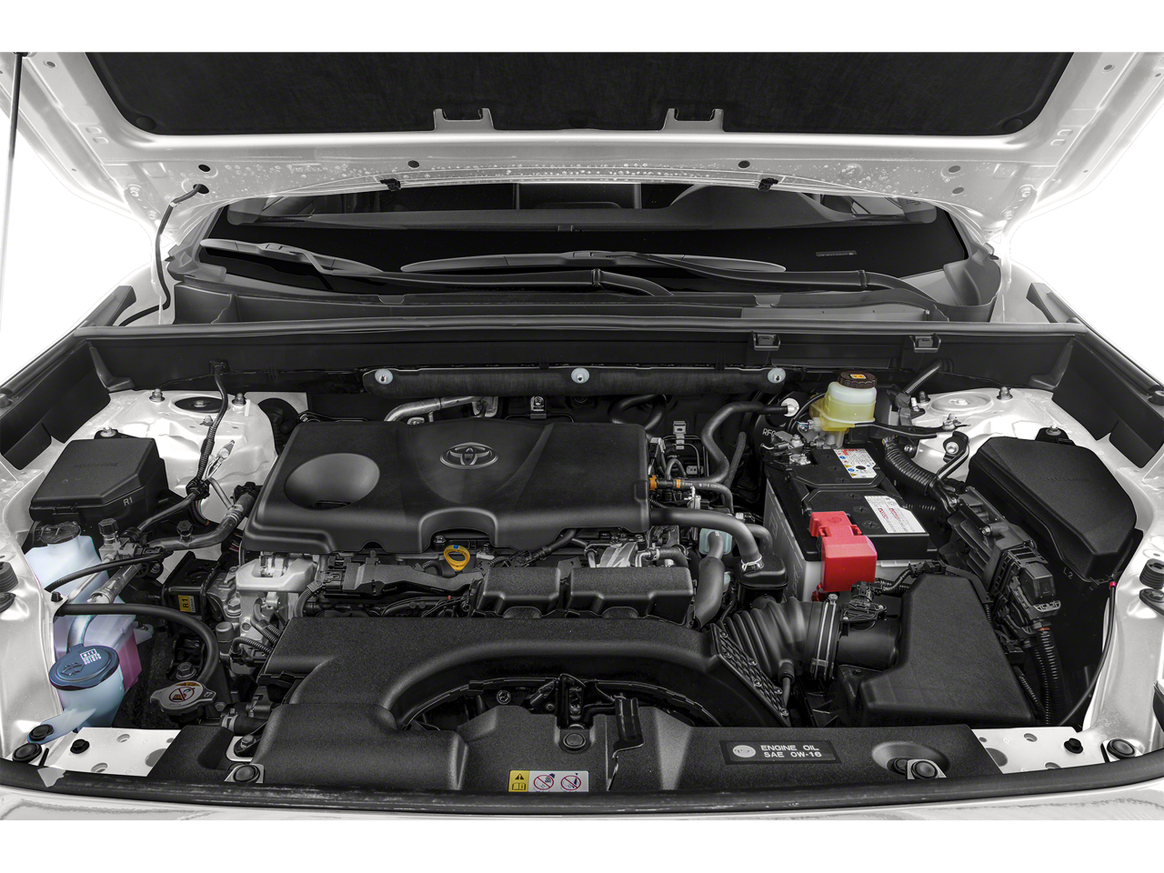 2020 Toyota RAV4 LE Sport Utility 4D